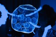 Необычное шоу - неоновые мыльные пузыри на детский праздник в Измайлово